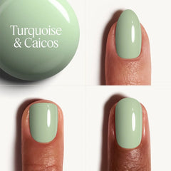 Turquoise & Caicos