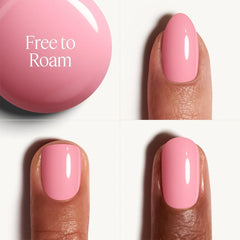 Free To Roam