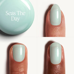 Seas The Day